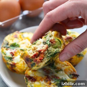 spinach egg muffins
