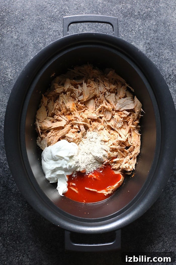 Ingredients for buffalo chicken dip Ingredients for buffalo chicken dip on a slow cooker
