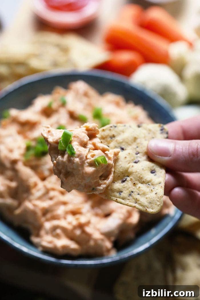 Chip with buffalo chicken dip Hand holding a chip with buffalo chicken dip