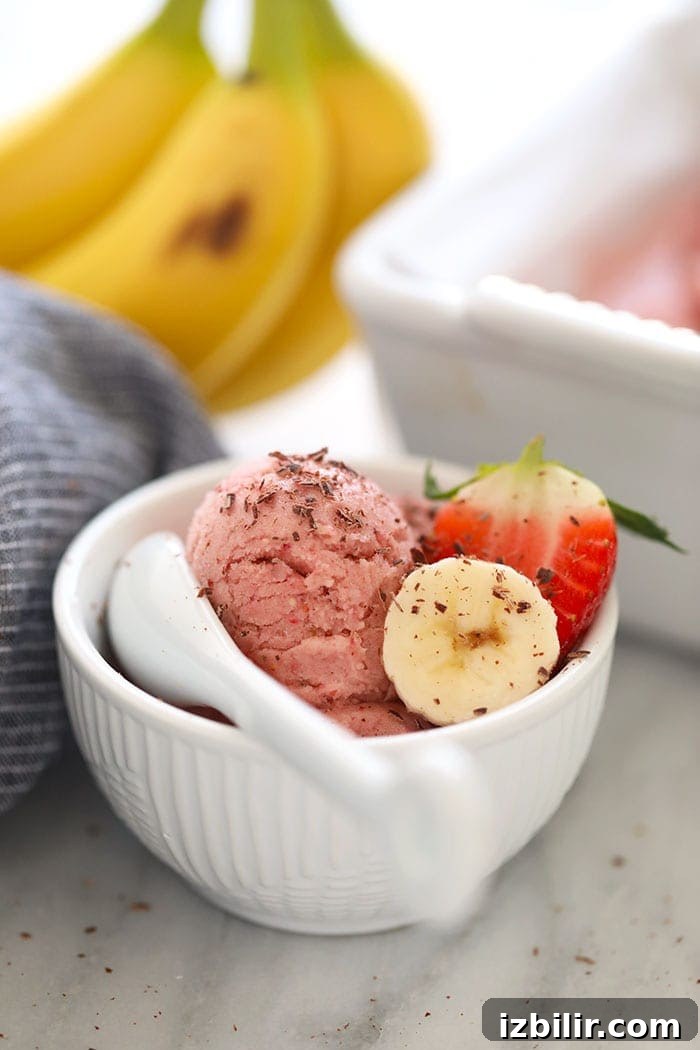 Nice Cream in a bowl Nice Cream in a bowl