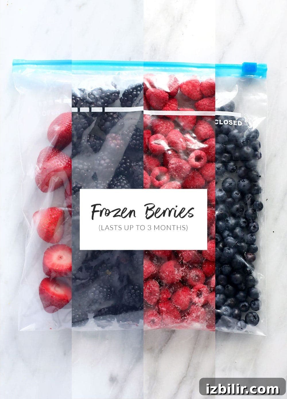 frozen berries in freezer safe ziplocs