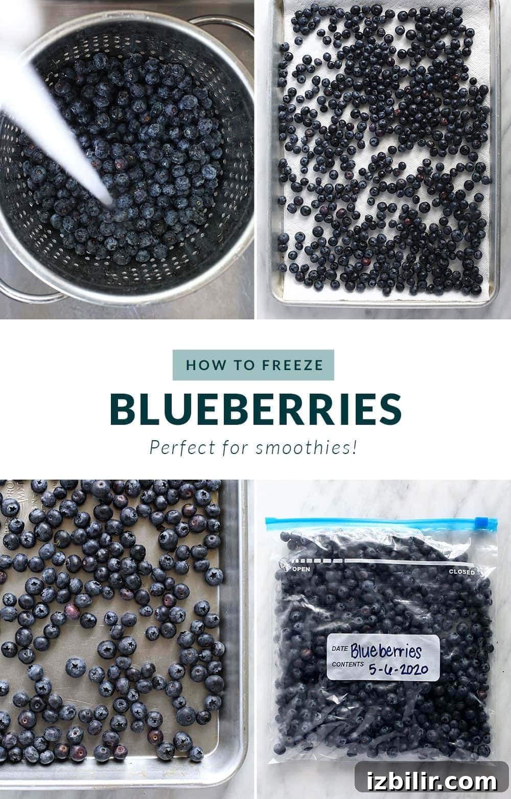 how to freeze blueberries step by step