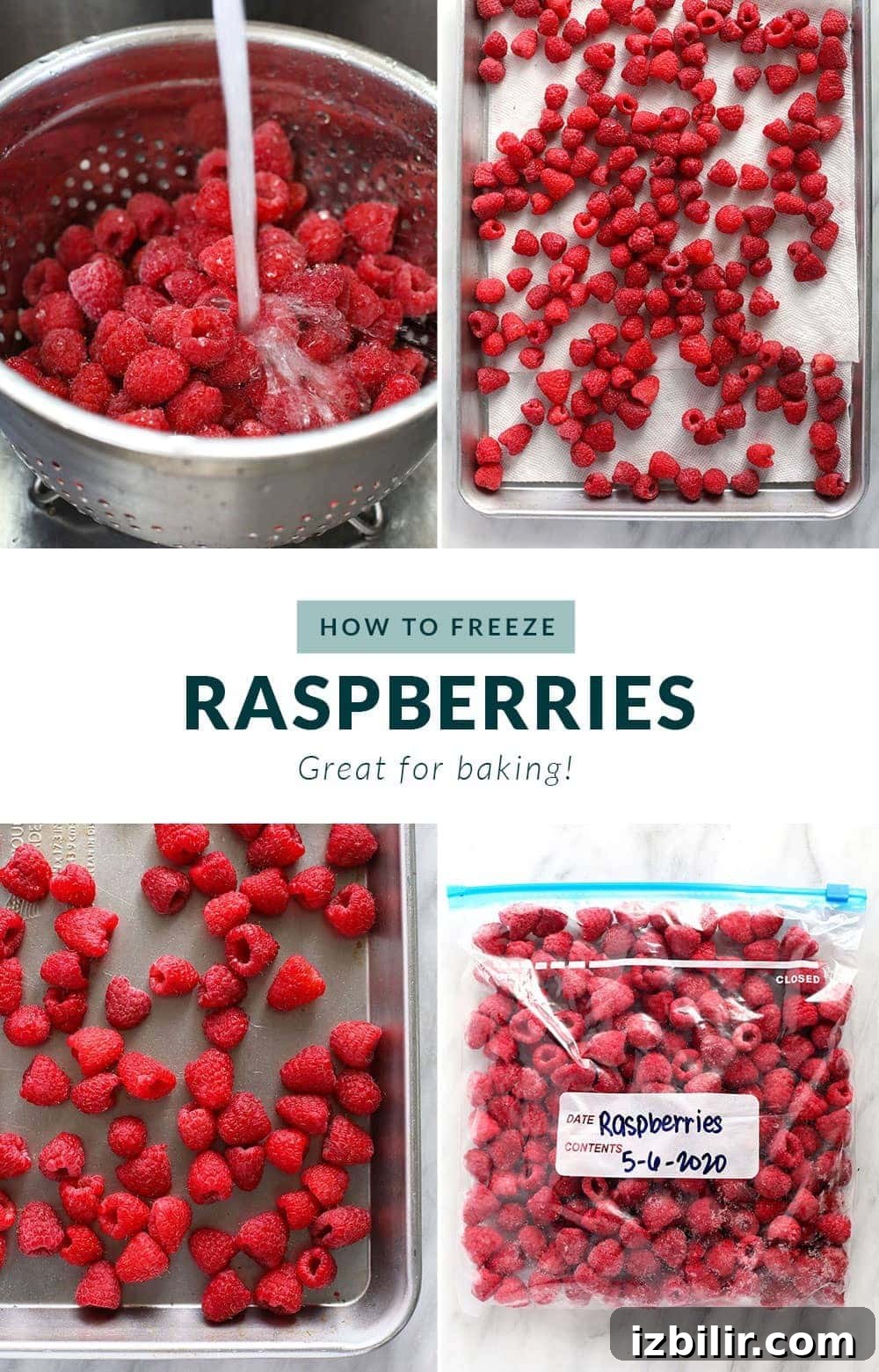how to freeze raspberries step by step