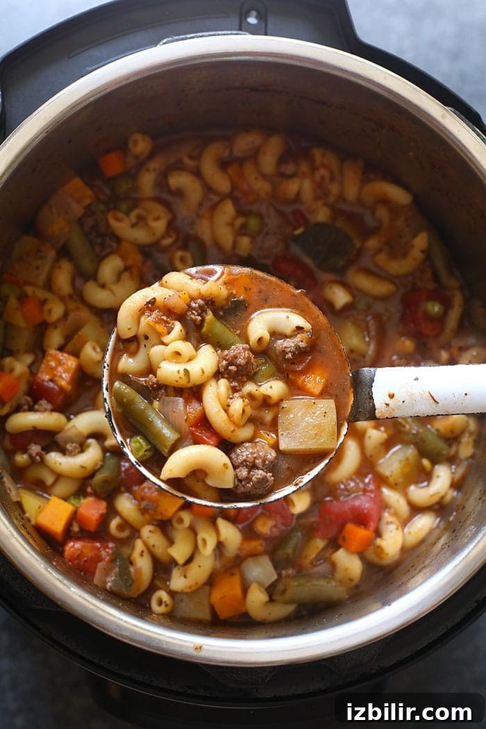 Finished hamburger soup in the Instant Pot
