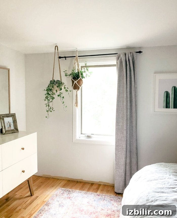 My latest addition to my master bedroom...2 hanging plants! hanging plants