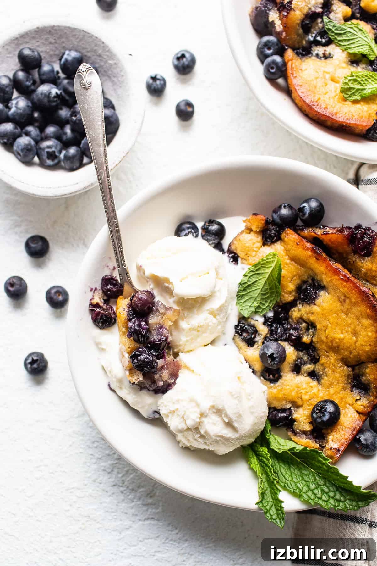 Blueberry cobbler served with ice cream. blueberry cobbler with ice cream in bowl.