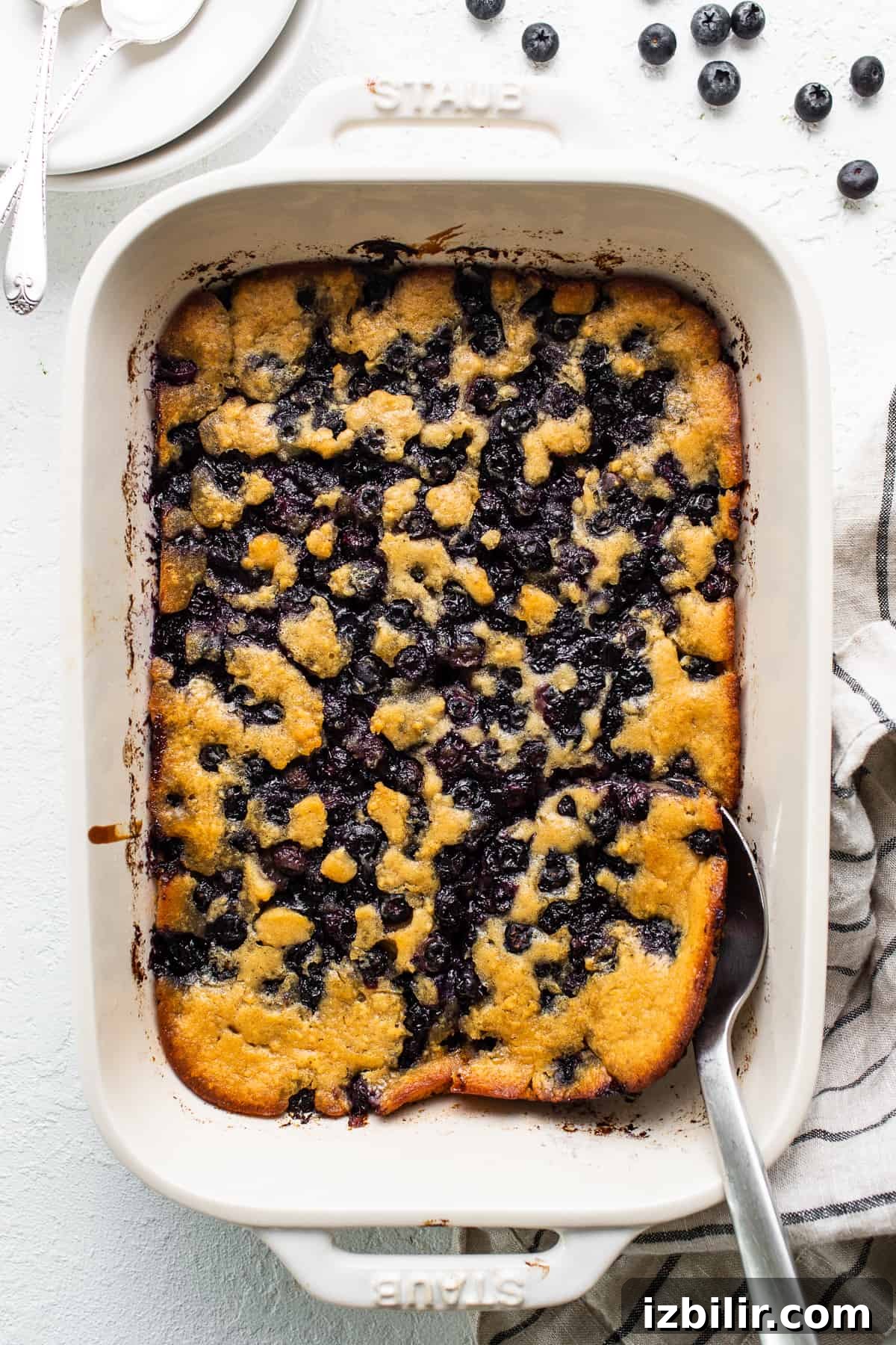 Blueberry cobbler in a baking dish. blueberry cobbler in baking dish.