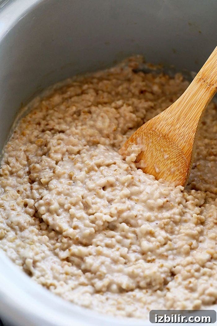 Ingredients for Coconut Slow Cooker Oats Ingredients for slow cooker coconut oats