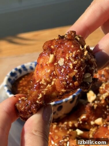 Salsa Macha Honey Glazed Wings