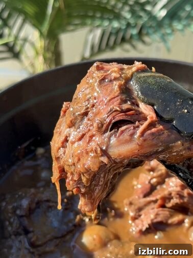 Beer-Braised Barbacoa