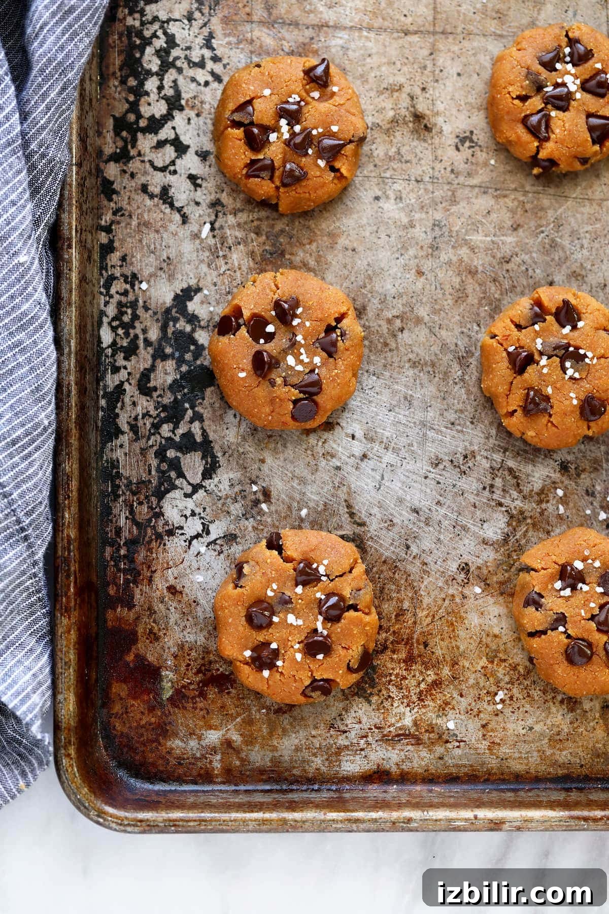 Healthy peanut butter cookies ready to bake healthy peanut butter cookies on a cookie sheet ready to be baked