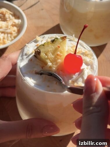Piña Colada Arroz Con Leche