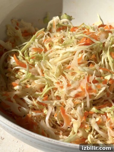 Curtido - Salvadoran cabbage slaw