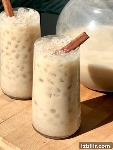 Glass of Salvadoran Horchata (Horchata de Morro)