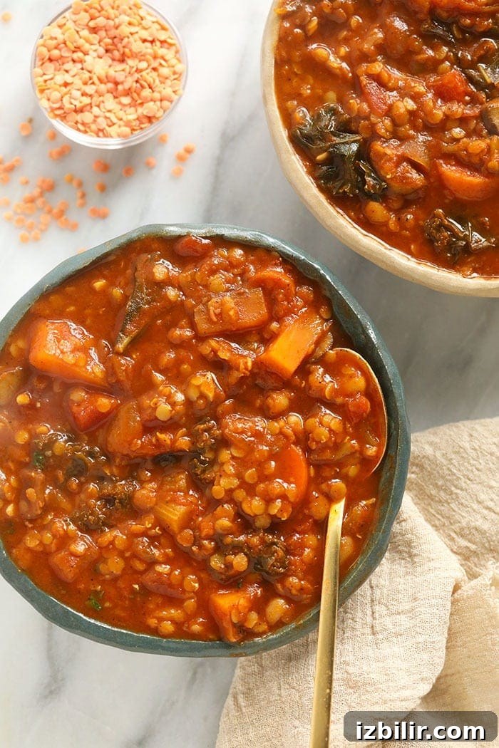 Sweet potato lentil stew A bowl of lentil stew with a spoon in it.