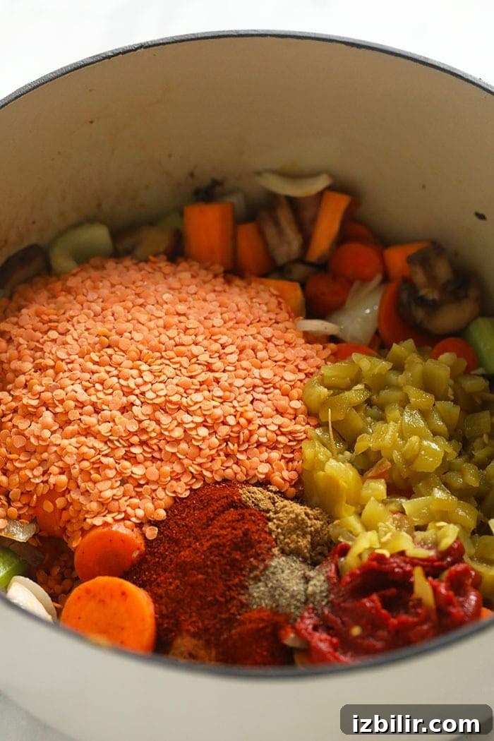 Ingredients in a pot All the ingredients for lentil stew in a pot.