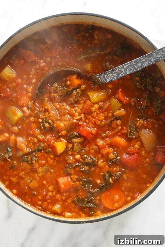 Finished lentil stew Finished lentil stew ready to eat with a ladle in it!