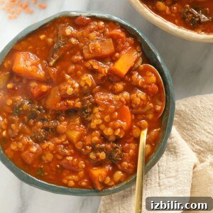 Sweet Potato Lentil Stew a Sweet Potato Lentil Stew.