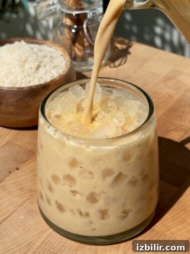 Glass of pumpkin spice horchata over ice