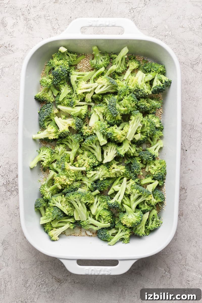 Chopped broccoli evenly spread in a white rectangular baking dish on a textured gray surface.