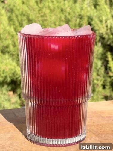 Jugo Vampiro - beet and citrus juice