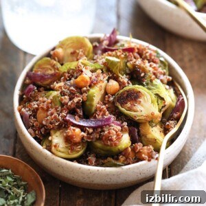 Roasted Brussels Sprouts and Quinoa Salad 3 Brussel Sprout Salad