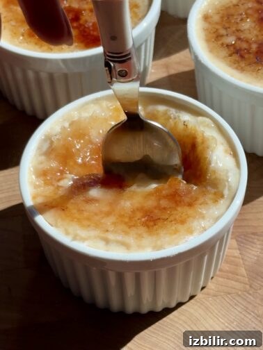 Arroz con Leche Brûlée - creamy rice pudding with a caramelized sugar crust