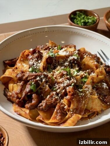 Spicy chipotle short rib ragu tossed with pappardelle, topped with cotija and cilantro