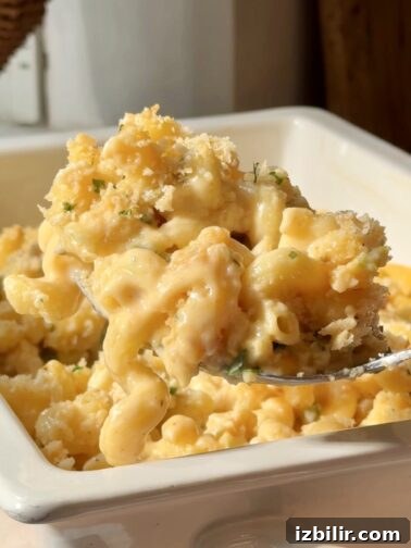 Baked jalapeño popper mac and cheese with golden panko-Parmesan crust