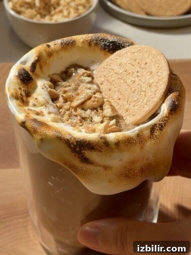 S'mores Champurrado in a mug with toasted marshmallow rim
