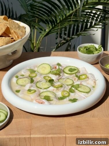 Aguachile Blanco with shrimp and cucumber