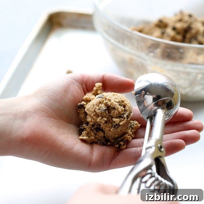 Cookie dough scoop Scoop of healthy oatmeal cookie dough.