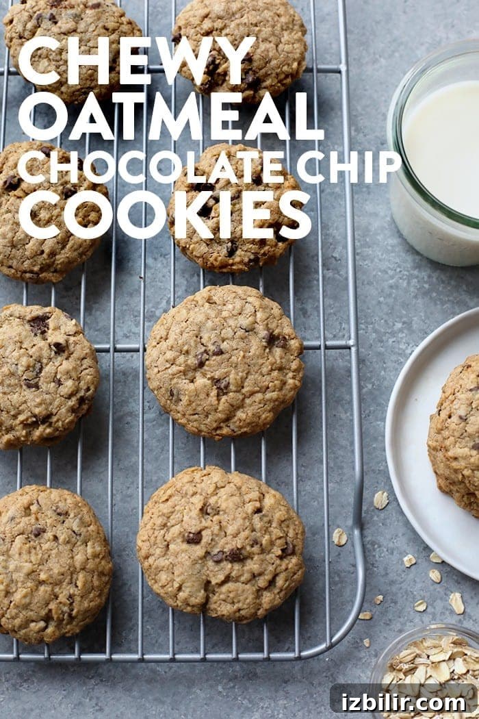 Cookies cooling on a rack Healthy oatmeal cookies on a cooling rack.
