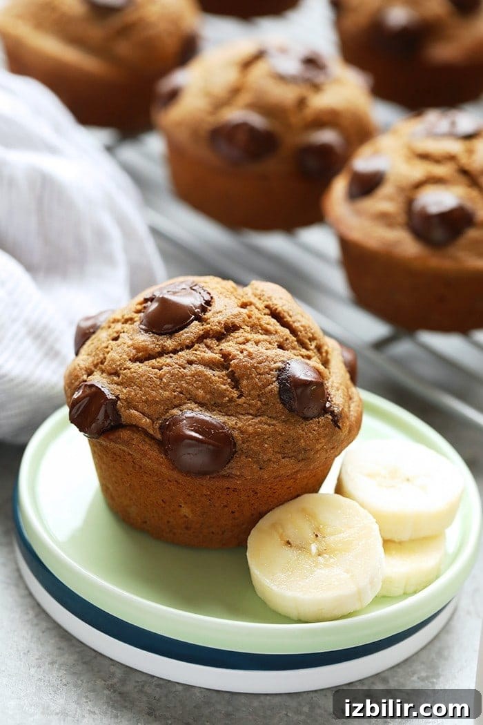 Healthy Banana Chocolate Chip Muffins Muffin on a plate.