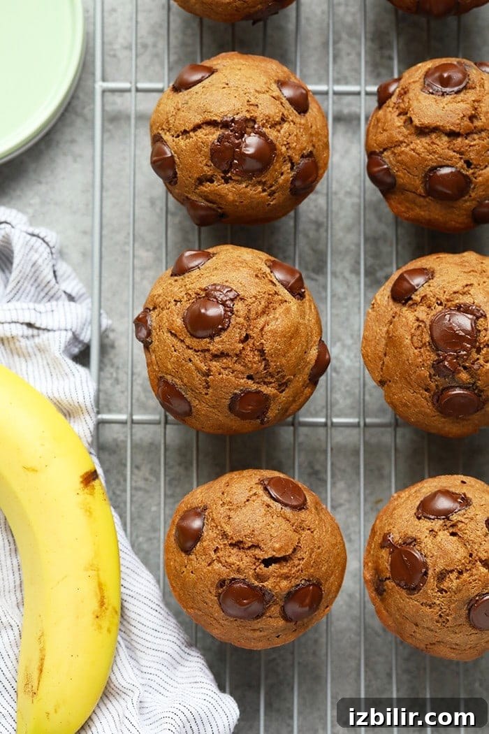 Cooling banana chocolate chip muffins. Banana chocolate chip muffins on a cooling rack.