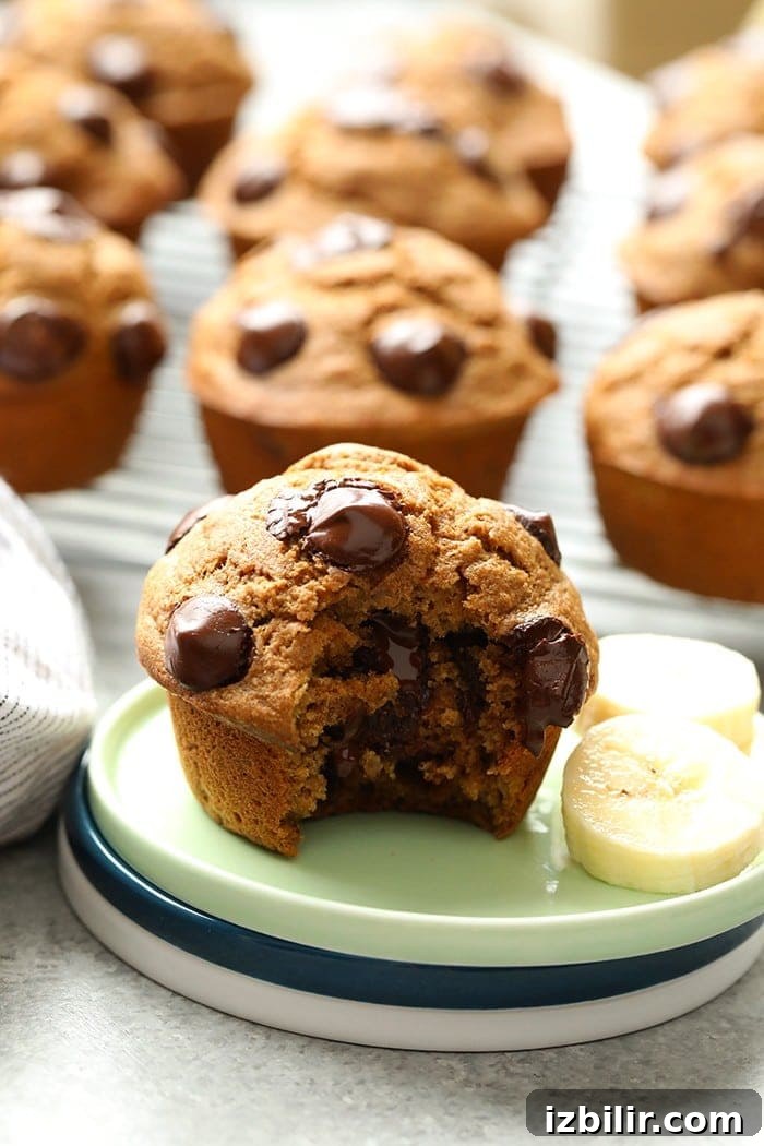 Healthy banana chocolate chip muffin. Banana chocolate chip muffin on a plate.