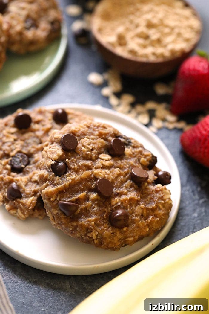 These healthy vegan peanut butter banana cookies for breakfast are a delicious option for an easy on-the-go breakfast for the week! Two cookies on a plate