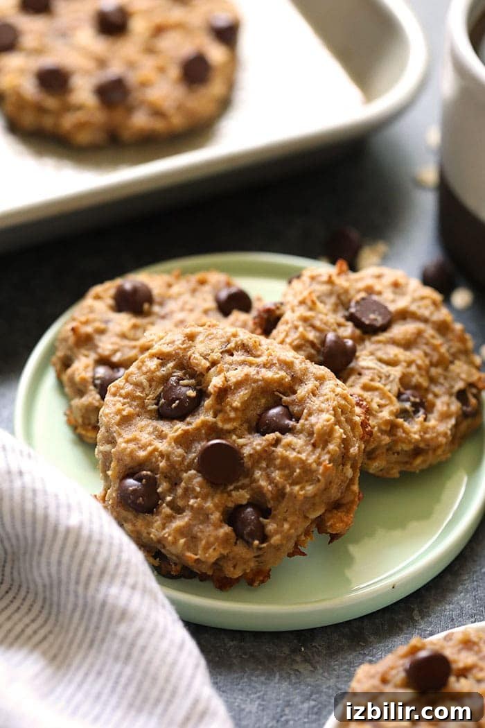 Throw a bag of these vegan cookies in the freezer for an easy grab-n-go breakfast for the week! They are made with oatmeal, flax, peanut butter, and other whole and healthy ingredients! Picture of three cookies on a plate