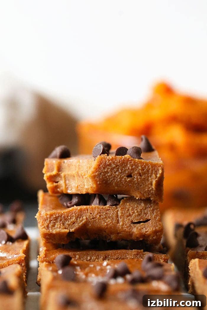 Cut pumpkin almond butter freezer fudge squares