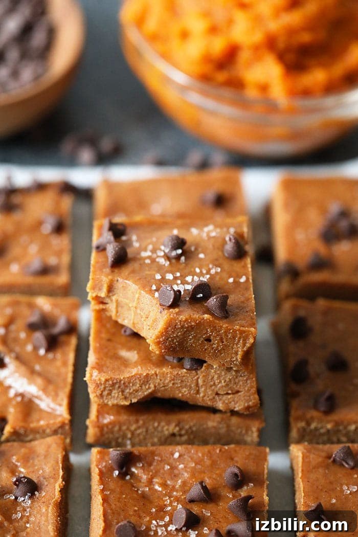 Pumpkin fudge stored in bag