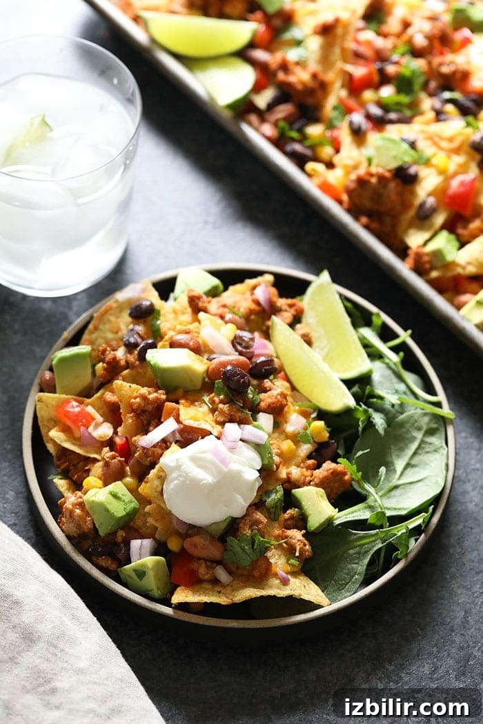 Chicken nachos on plate with sour cream.