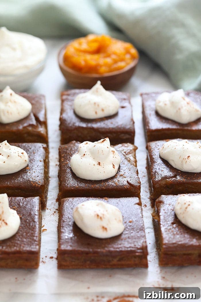 Pumpkin pie bars close-up pumpkin pie bars with whipped cream topping