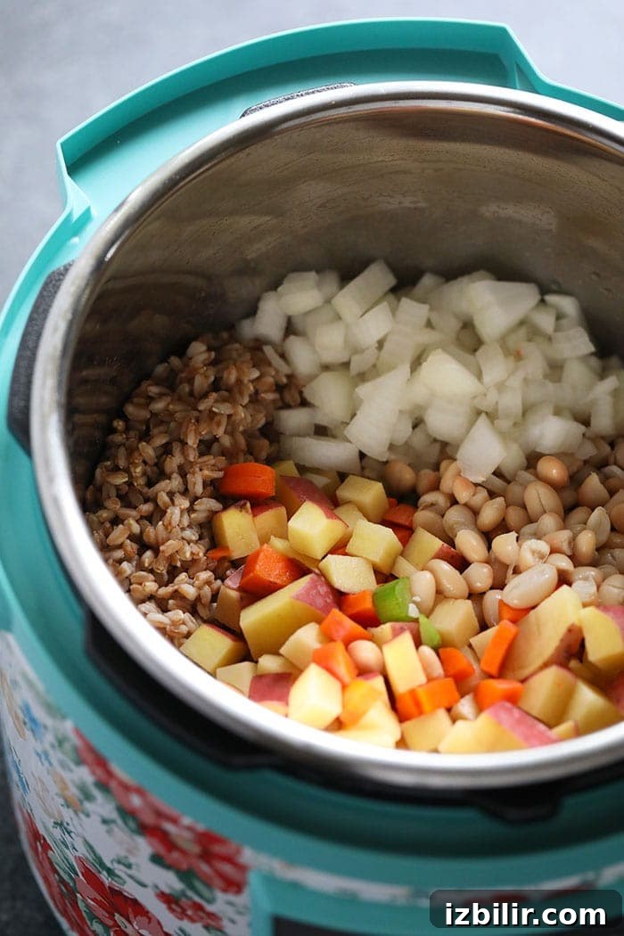 Soup ingredients in Instant Pot