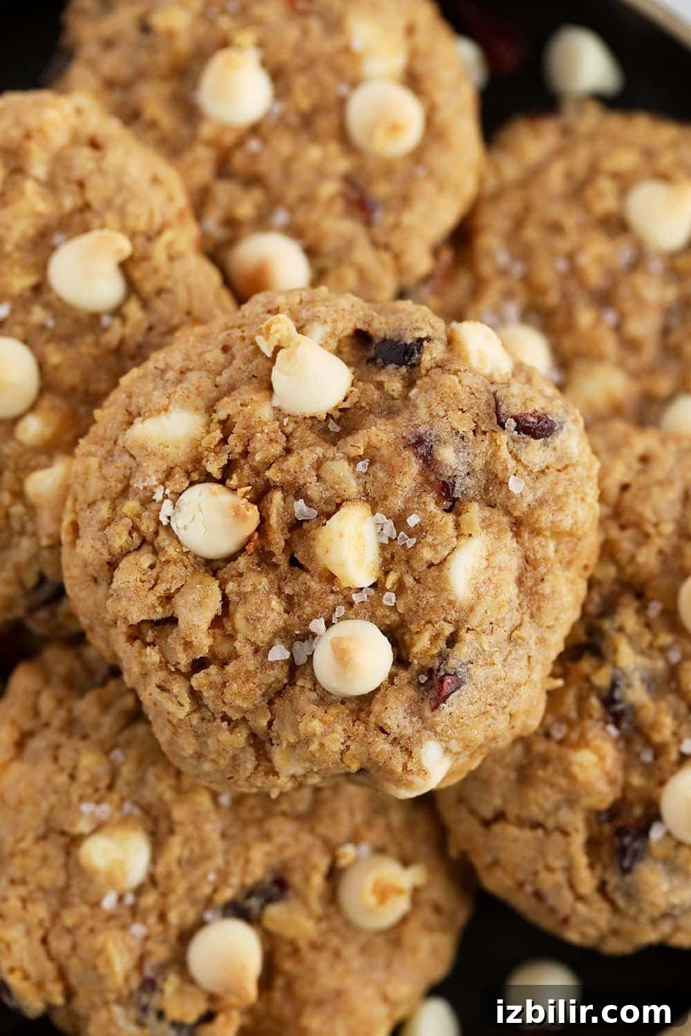White Chocolate Cranberry Oatmeal Cookies - a festive twist on classic oatmeal cookies oatmeal cookies