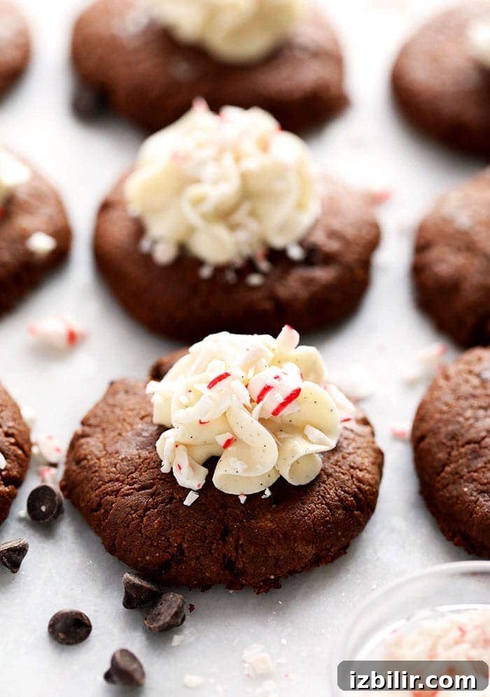 Paleo hot cocoa cookies hot cocoa cookies
