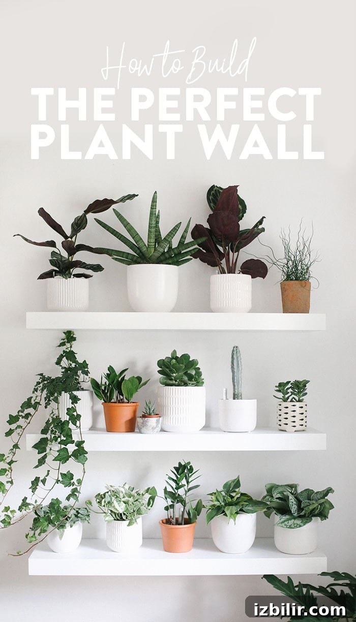Build a Stunning Indoor Living Plant Wall 2 img 61196 1