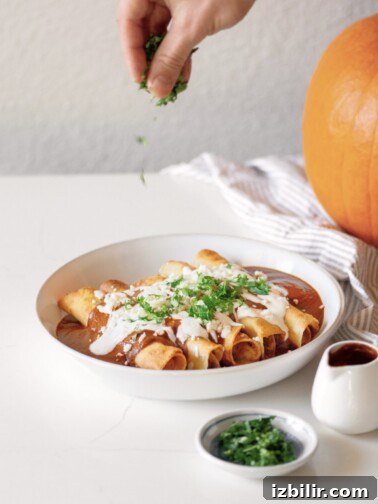 Crispy Pumpkin and Potato Taquitos Topped with Homemade Mole 2 Crispy pumpkin and potato taquitos with mole sauce