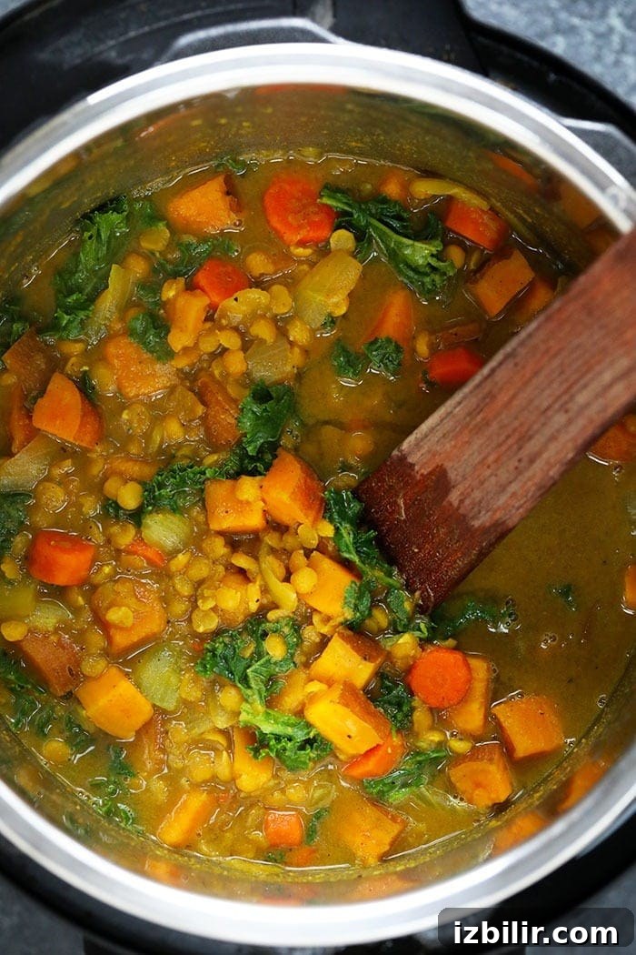 Instant Pot Sweet Potato Curry in Instant Pot.