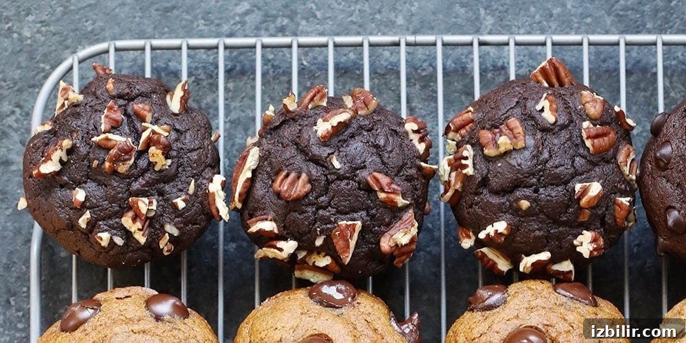 Chocolate Pumpkin Zucchini Muffins