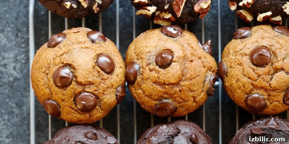 Chocolate Chip Pumpkin Muffins